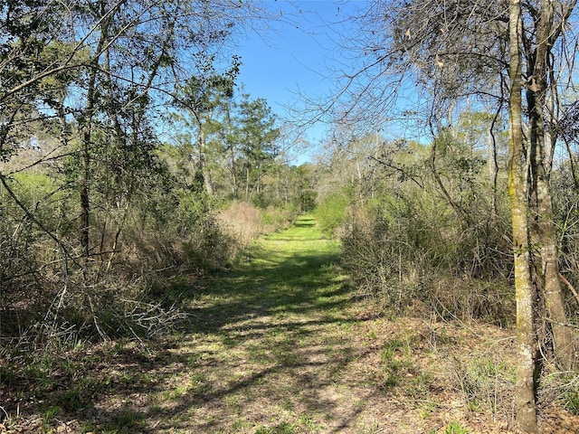 24030 Hegar Rd, Hockley, TX 77447 - photo 28