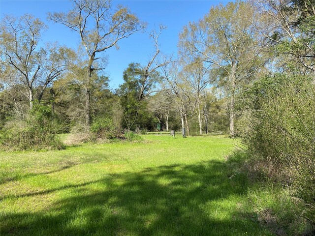 24030 Hegar Rd, Hockley, TX 77447 - photo 29