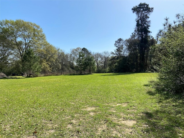 24030 Hegar Rd, Hockley, TX 77447 - photo 31