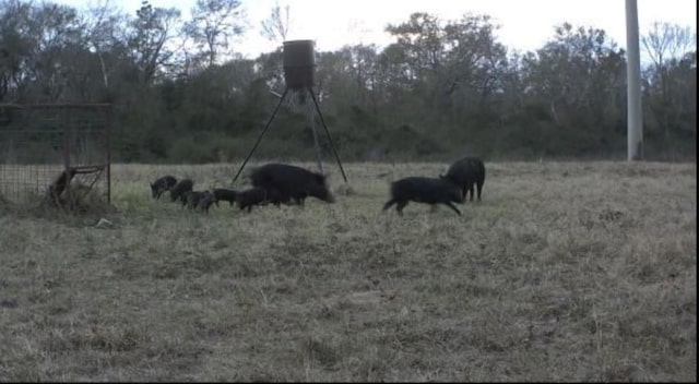 24030 Hegar Rd, Hockley, TX 77447 - photo 33