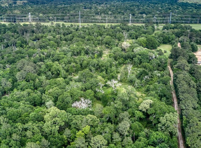 24030 Hegar Rd, Hockley, TX 77447 - photo 42