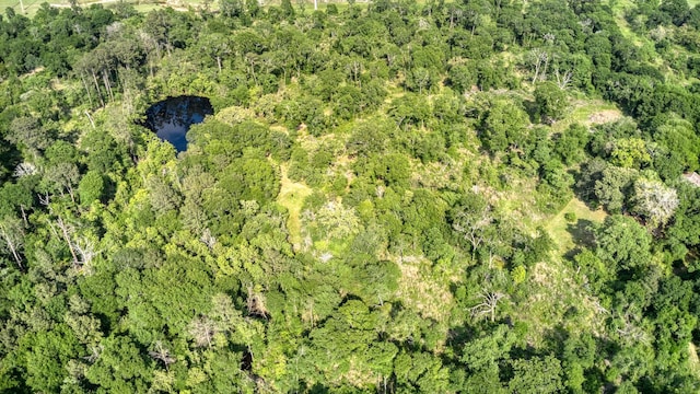 24030 Hegar Rd, Hockley, TX 77447 - photo 47
