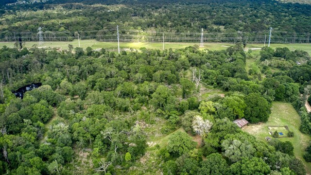 24030 Hegar Rd, Hockley, TX 77447 - photo 50