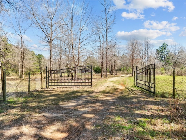 1151 County Line Rd, Shepherd, TX 77371 - view of street with a gated entry and a gate