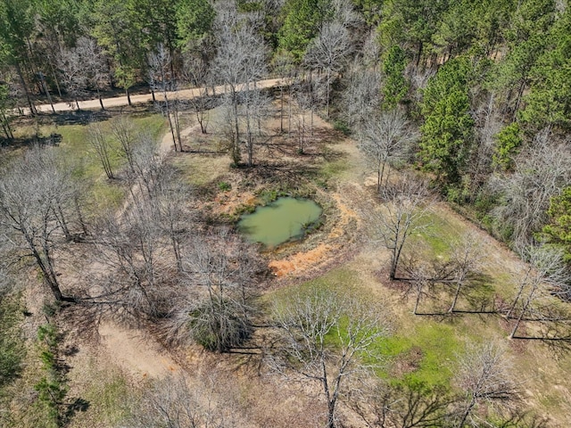 1151 County Line Rd, Shepherd, TX 77371 - birds eye view of property featuring a view of trees