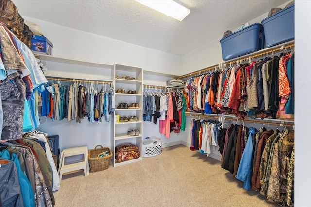 spacious closet with carpet floors