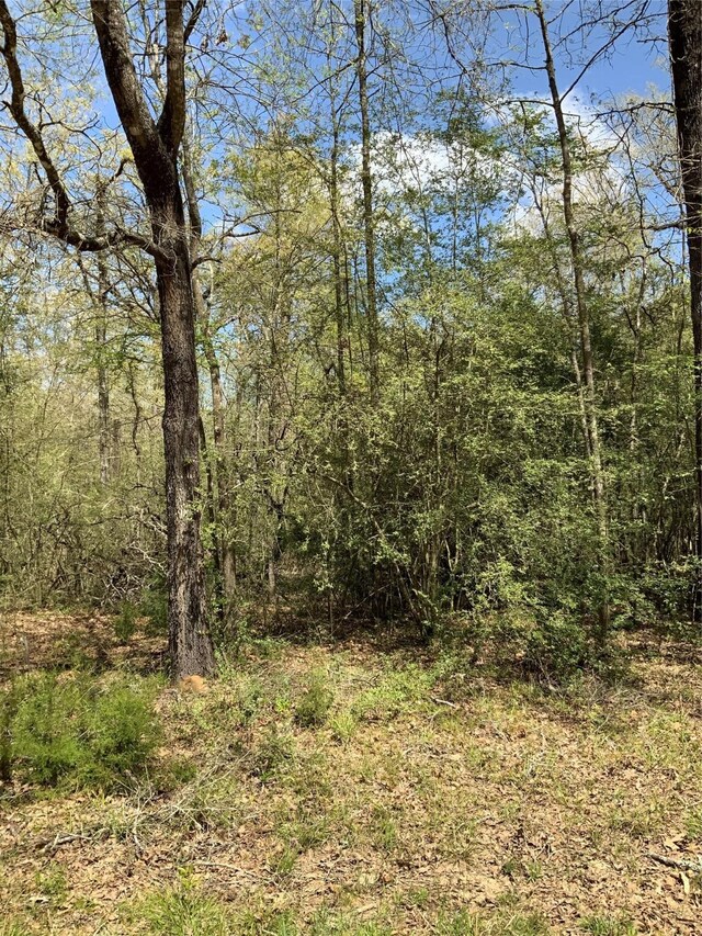 137 Foyt Dr, Livingston, TX 77351 - photo 3