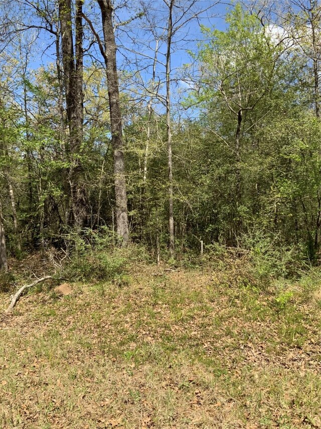 137 Foyt Dr, Livingston, TX 77351 - photo 4
