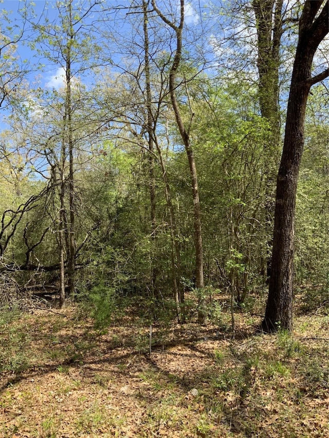 137 Foyt Dr, Livingston, TX 77351 - photo 1