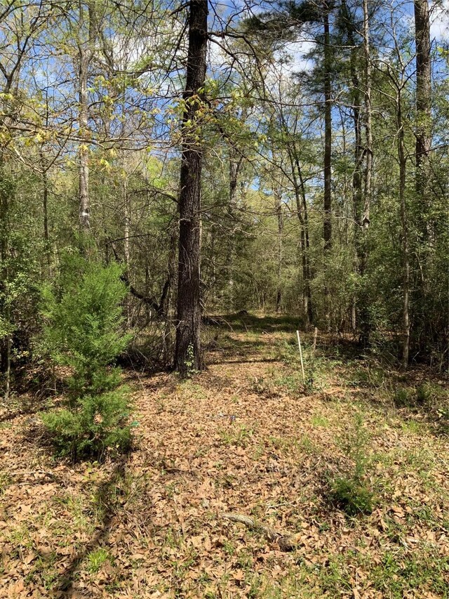137 Foyt Dr, Livingston, TX 77351 - photo 6