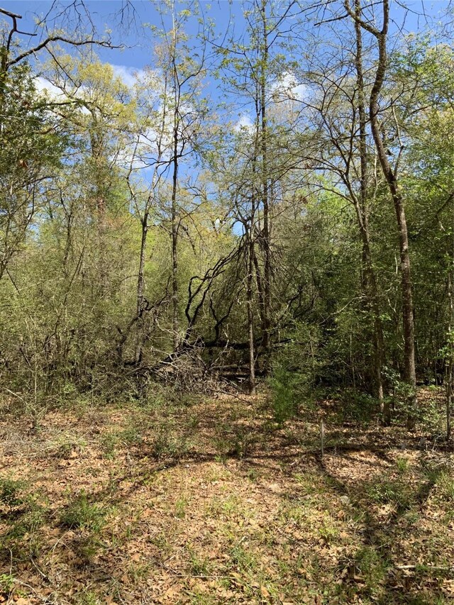 137 Foyt Dr, Livingston, TX 77351 - photo 2