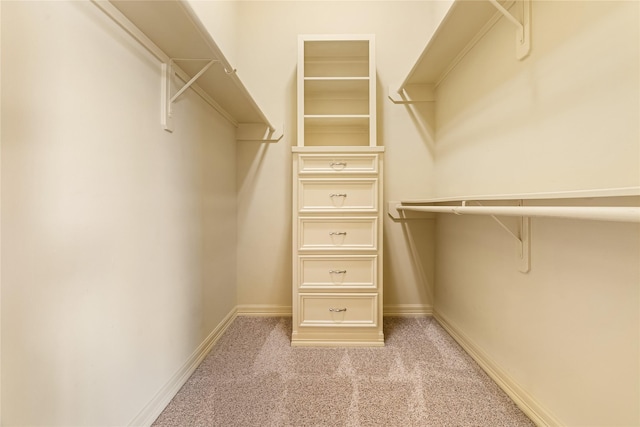 843 Royal Lakes Blvd, Richmond, TX 77469 - spacious closet with light colored carpet