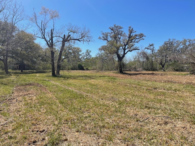 3531 County Road 348, Brazoria, TX 77422 - photo 1