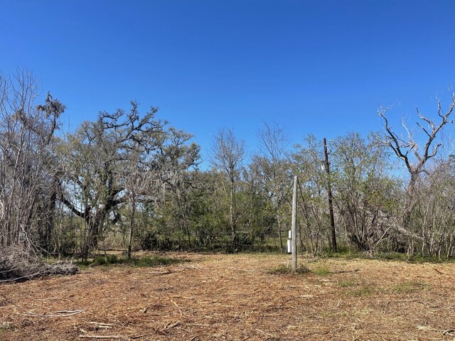 3531 County Road 348, Brazoria, TX 77422 - photo 2