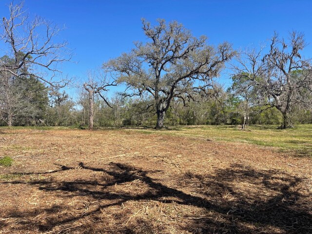 3531 County Road 348, Brazoria, TX 77422 - photo 3
