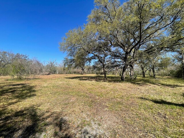 3531 County Road 348, Brazoria, TX 77422 - photo 4