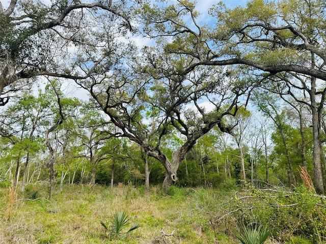 TRACT5-6 Private Road 648th St, Bay City, TX 77414 - photo 1
