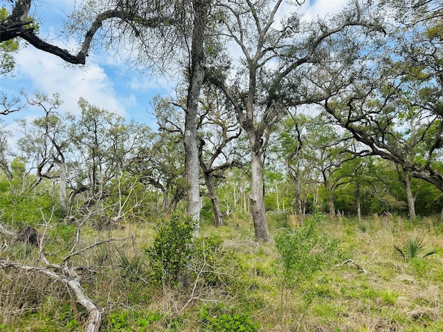 TRACT5-6 Private Road 648th St, Bay City, TX 77414 - photo 2