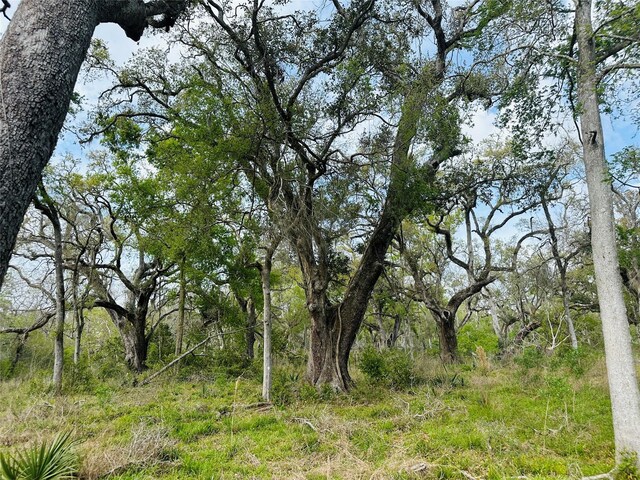 TRACT5-6 Private Road 648th St, Bay City, TX 77414 - photo 3