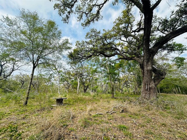 TRACT5-6 Private Road 648th St, Bay City, TX 77414 - photo 4