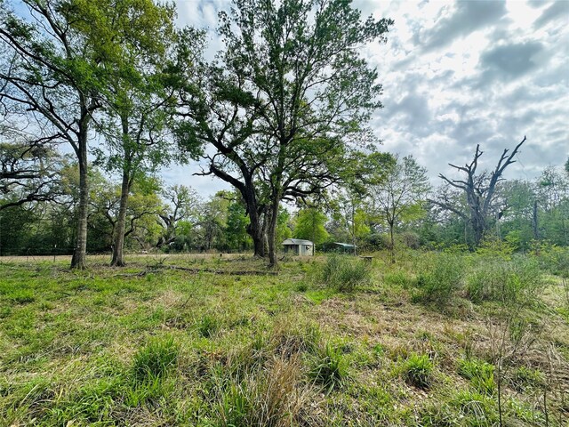 TRACT5-6 Private Road 648th St, Bay City, TX 77414 - photo 9