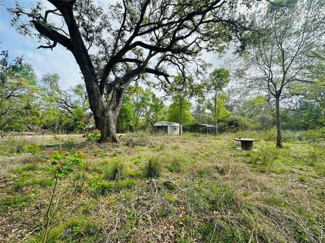TRACT5-6 Private Road 648th St, Bay City, TX 77414 - photo 10