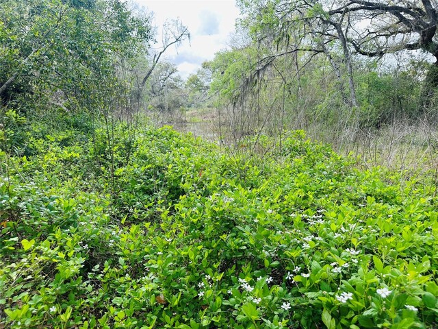 TRACT5-6 Private Road 648th St, Bay City, TX 77414 - photo 11