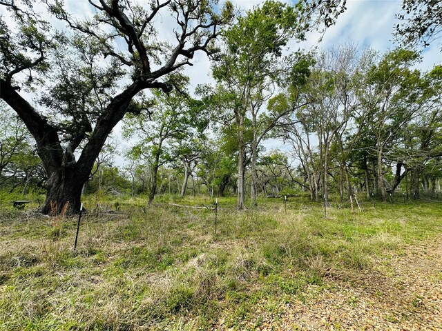 TRACT5-6 Private Road 648th St, Bay City, TX 77414 - photo 12