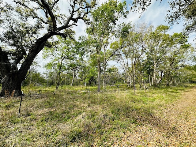 TRACT5-6 Private Road 648th St, Bay City, TX 77414 - photo 13