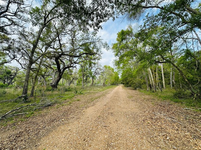 TRACT5-6 Private Road 648th St, Bay City, TX 77414 - photo 14