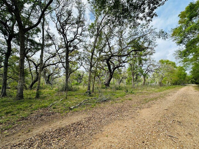 TRACT5-6 Private Road 648th St, Bay City, TX 77414 - photo 15