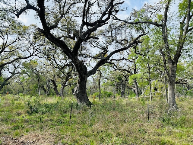 TRACT5-6 Private Road 648th St, Bay City, TX 77414 - photo 16