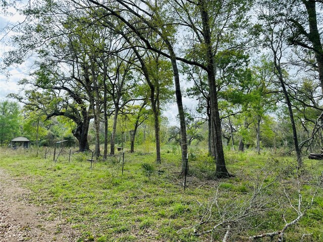 TRACT5-6 Private Road 648th St, Bay City, TX 77414 - photo 17