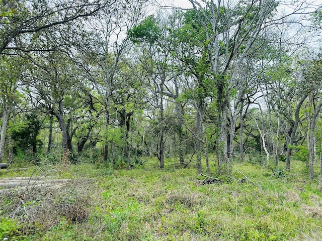 TRACT5-6 Private Road 648th St, Bay City, TX 77414 - photo 18