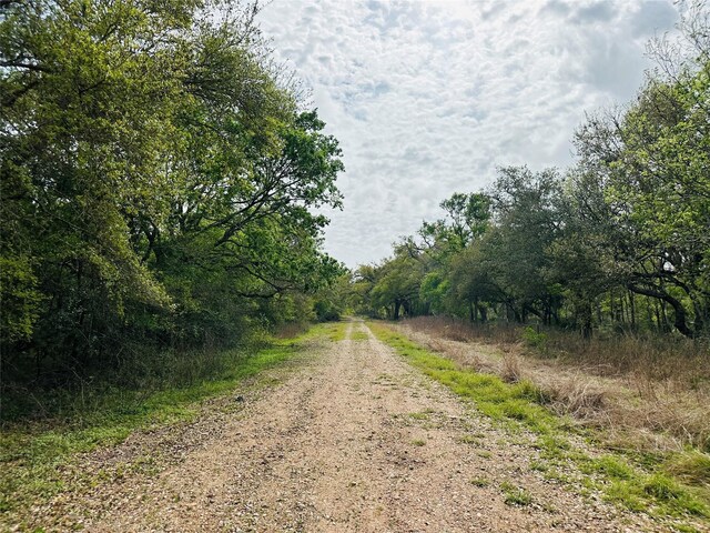 TRACT5-6 Private Road 648th St, Bay City, TX 77414 - photo 19