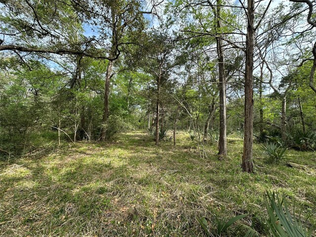 TRACT5-6 Private Road 648th St, Bay City, TX 77414 - photo 20