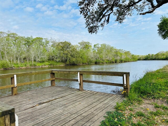 TRACT5-6 Private Road 648th St, Bay City, TX 77414 - photo 6