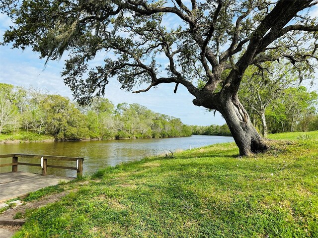 TRACT5-6 Private Road 648th St, Bay City, TX 77414 - photo 7