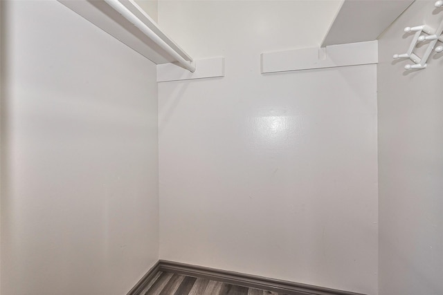 spacious closet featuring wood finished floors