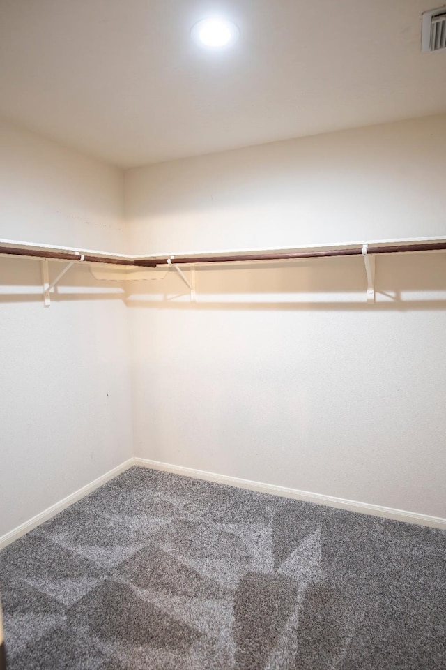 30615 S Sulphur Creek Dr, Magnolia, TX 77355 - spacious closet featuring visible vents and carpet