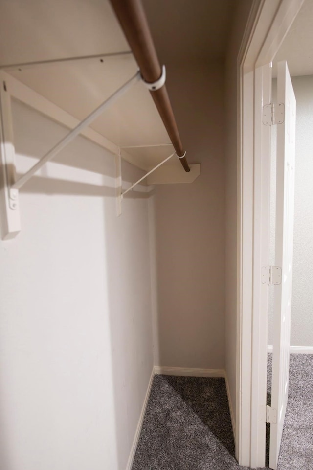30615 S Sulphur Creek Dr, Magnolia, TX 77355 - spacious closet featuring carpet flooring