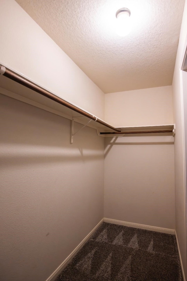 30615 S Sulphur Creek Dr, Magnolia, TX 77355 - spacious closet featuring dark carpet