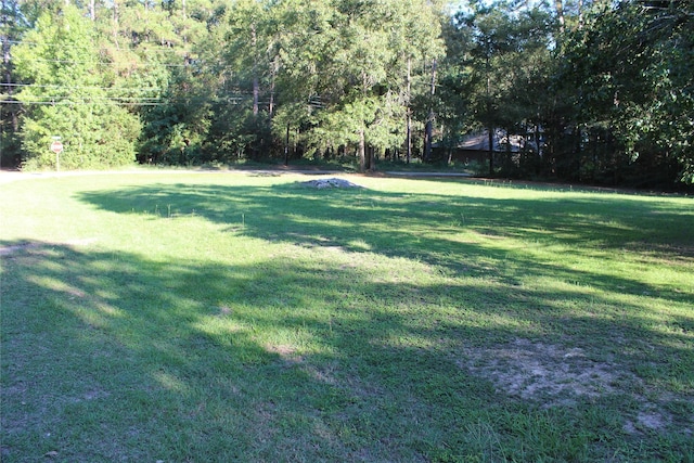 000 Evergreen Ln, Montgomery, TX 77356 - photo 3