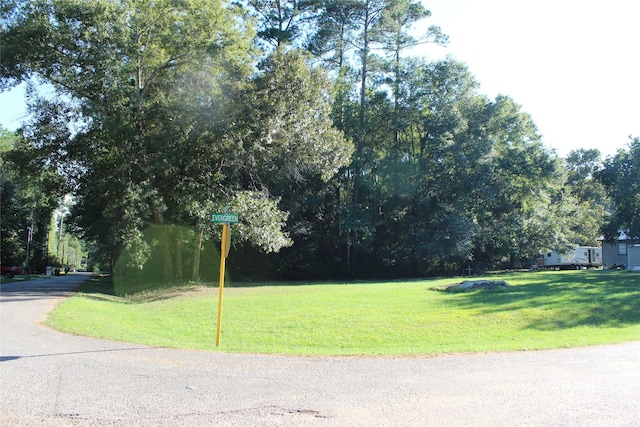 000 Evergreen Ln, Montgomery, TX 77356 - photo 2