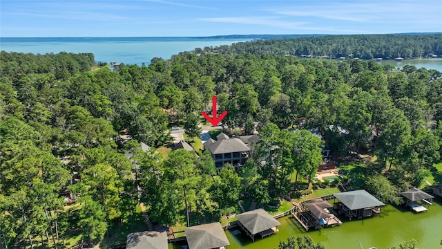 270 Lake Grove Dr, Coldspring, TX 77331 - aerial view of property's location with a heavily wooded area and a large body of water