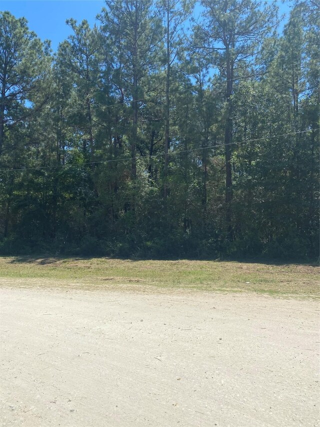 14628 Shadows End Dr, Plantersville, TX 77363 - photo 2