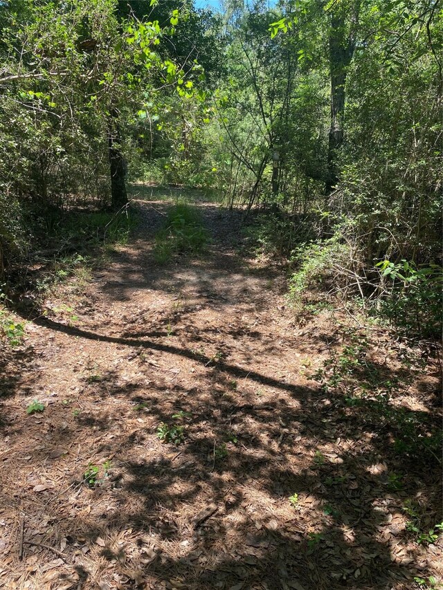 14628 Shadows End Dr, Plantersville, TX 77363 - photo 4
