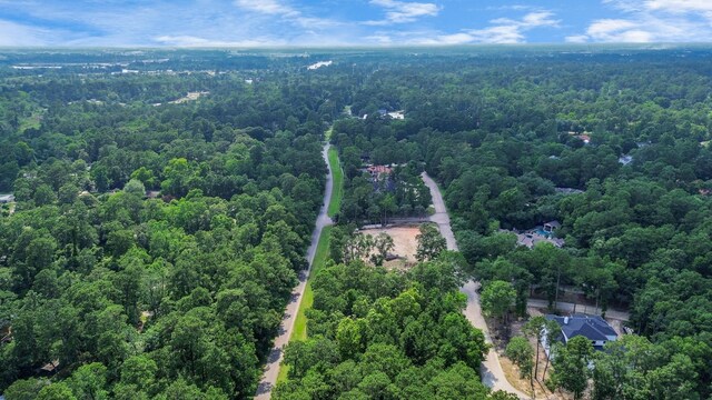 22 Majestic Falls Dr, Houston, TX 77339
