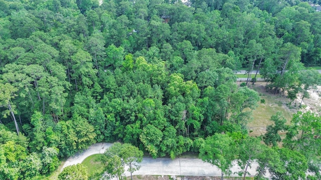22 Majestic Falls Dr, Houston, TX 77339