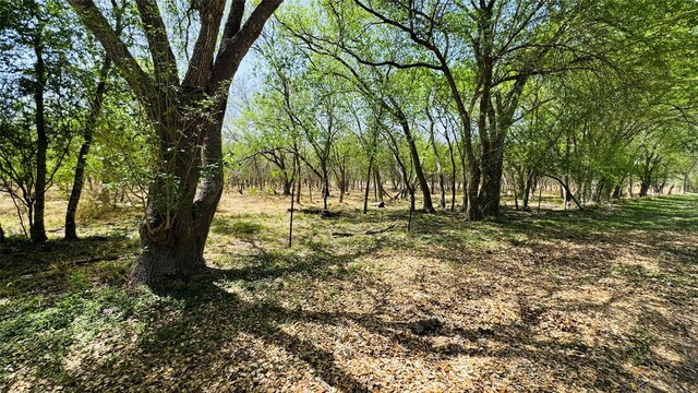 LOT26/27 10th St, Premont, TX 78375 - photo 3